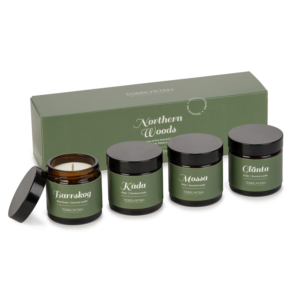 TORPLYKTAN DUFTLJUS 4-PK NORTHERN WOODS