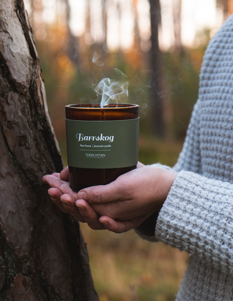 TORPLYKTAN DUFTLJUS BARRSKOG 310G