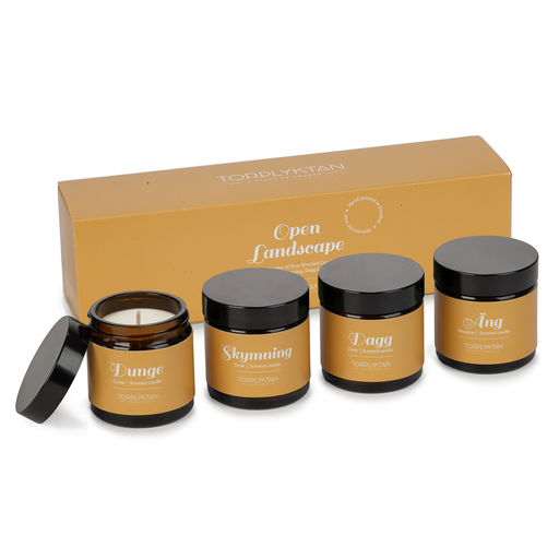 TORPLYKTAN DUFTLJUS 4-PK OPEN LANDSCAPR